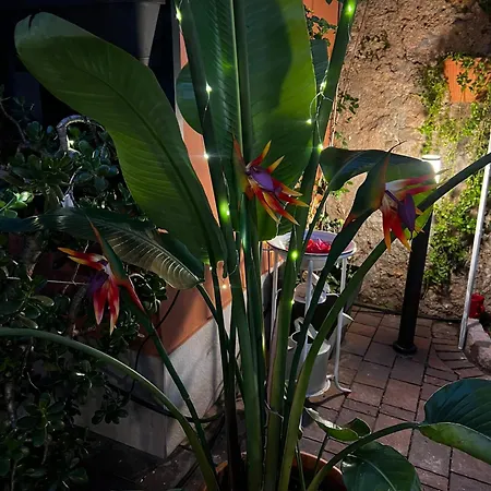 Appartamento Very nice flat in Lerici 5 terre in centro con parcheggio Lerici